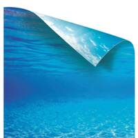 AQUARIUM BACK POSTER image