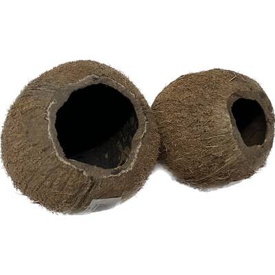Coconut shelter 3/4 - 12cm & 8-12cm high