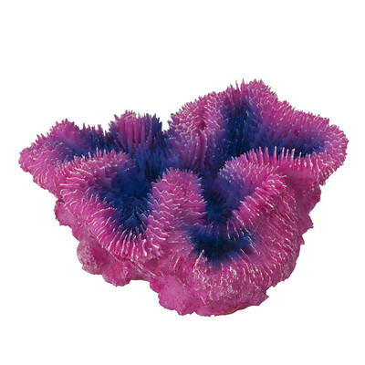 Aqua Della Coral Symphylia Purple - 12x5x12CM