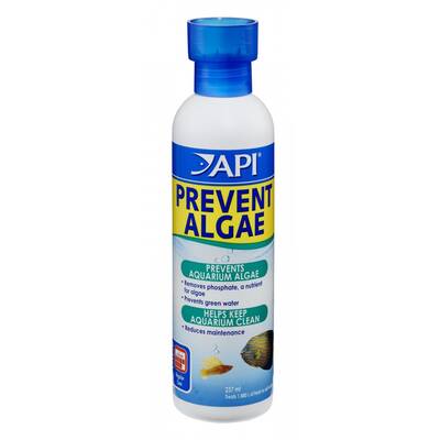 Api Prevent Algae 237ml
