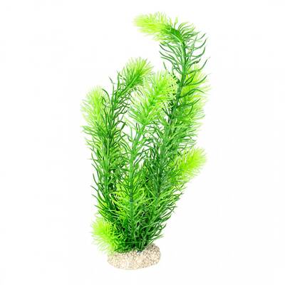 Aqua Della Plant Hornwort Dark Green L 32cm