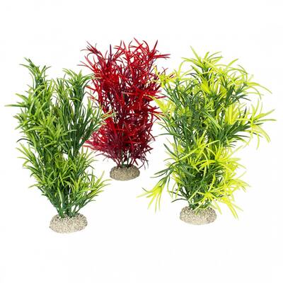 Aqua Della Plant Hydrilla Set L 27cm