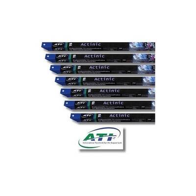 ATI Actinic 24 Watt