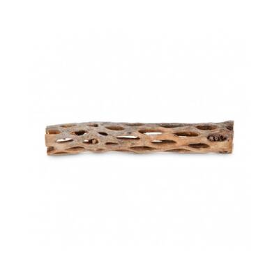 Cholla Wood 12-15cm