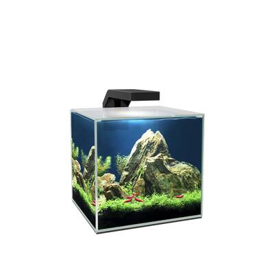 Ciano Aquarium Betta Kit Clear 9lt