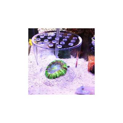 Coral Feeding Cover 120