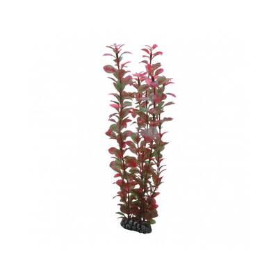 Hobby Ludwigia 34 cm