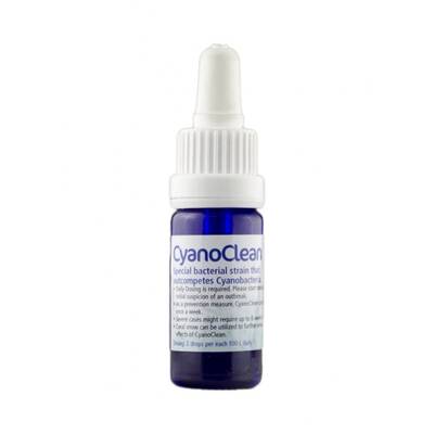 Korallen-Zucht Cyano Clean 50 ml