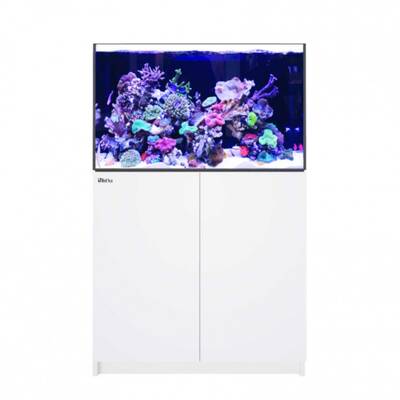 Red Sea Reefer XL 300 G2 White