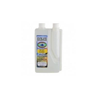Ruby Reef Kick-Ich 960ml