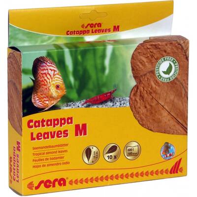 Sera Catappa Leaves M 10pcs