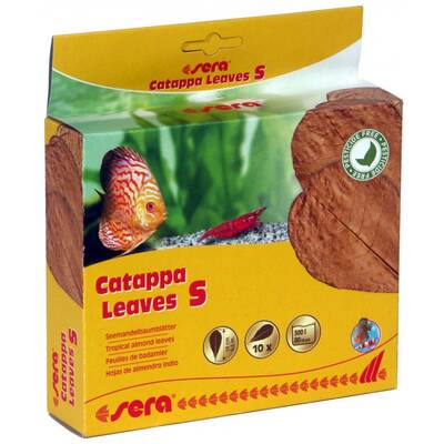 Sera Catappa Leaves S 12pcs