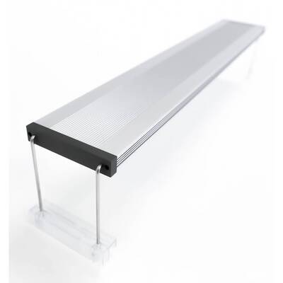 Twinstar Light 600C