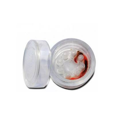 Worm Collect