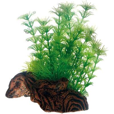 Hobby Flora Root 3 17cm