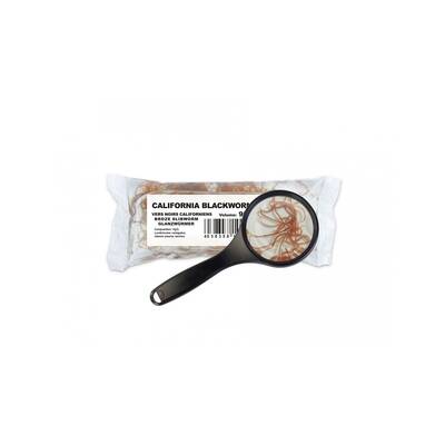 Live Food California Blackworms 45ml