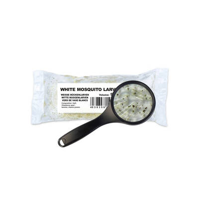 Live Food White mosquito larvae 90 ml