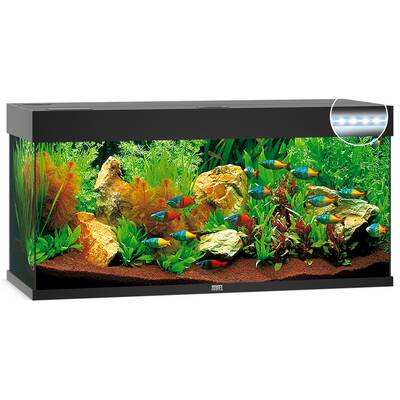 Juwel Rio 240 LED Black