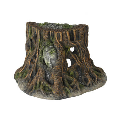 Aqua Della Buddha Tree Thailand S - 25,5x14x15 cm