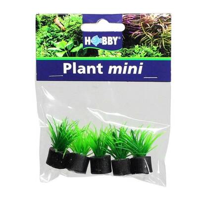 Hobby Eleocharis Mini 3 cm