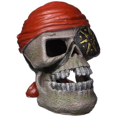 Marina ''Pirate Skull''