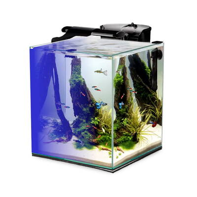 Aquael Fish & Shrimp Set Duo Day & Night 35 Black