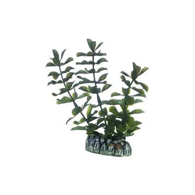 Hobby Bacopa 13 cm