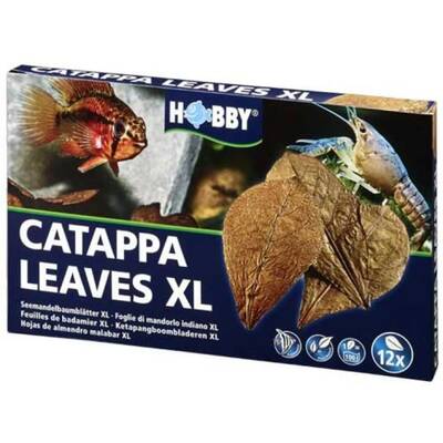 Hobby Catappa Leaves XL 12pcs.