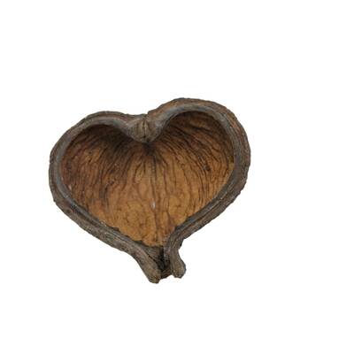 Nature4Pets Thelambu Pods 10-15cm