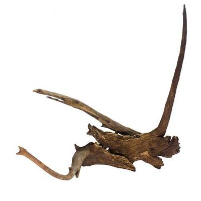 Driftwood(Hornwood) 60-80cm (1kg)