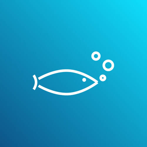 Procedure for setting up and maturing a new freshwater aquarium