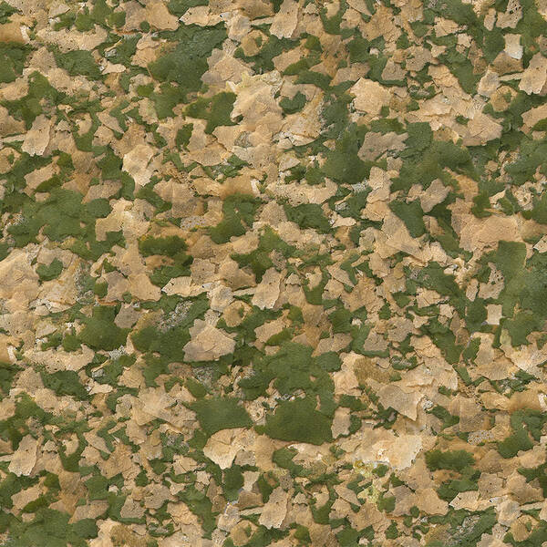 Sera Goldy Nature 100 ml Sera Goldy Nature 100 ml