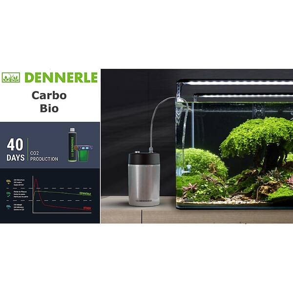 Dennerle Carbo Bio Style 120