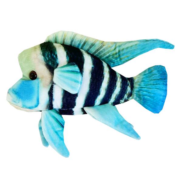 Frontosa cichlid plush-29x24x16cm