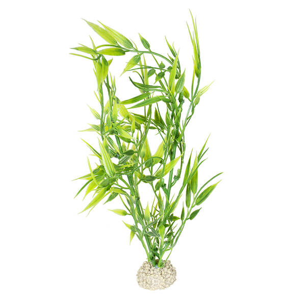 Aqua Della Plant Bamboo Green M 27CM Aqua Della Plant Bamboo Green M 27CM