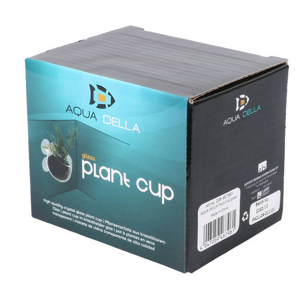 Aqua Della Plant Cup Glass Transparent - 9x6x6cm Aqua Della Plant Cup Glass Transparent - 9x6x6cm