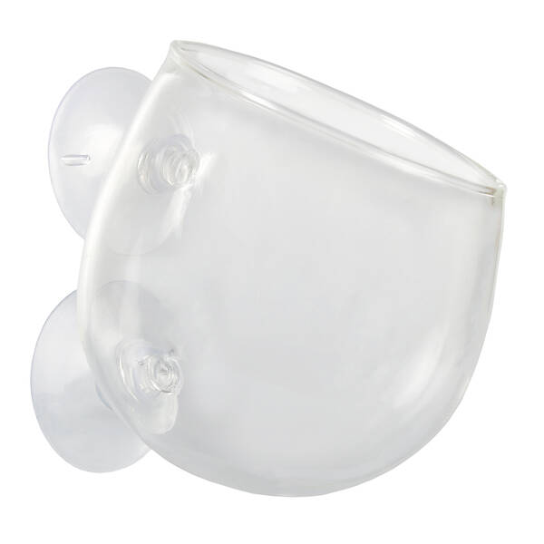 Aqua Della Plant Cup Glass Transparent - 9x6x6cm Aqua Della Plant Cup Glass Transparent - 9x6x6cm