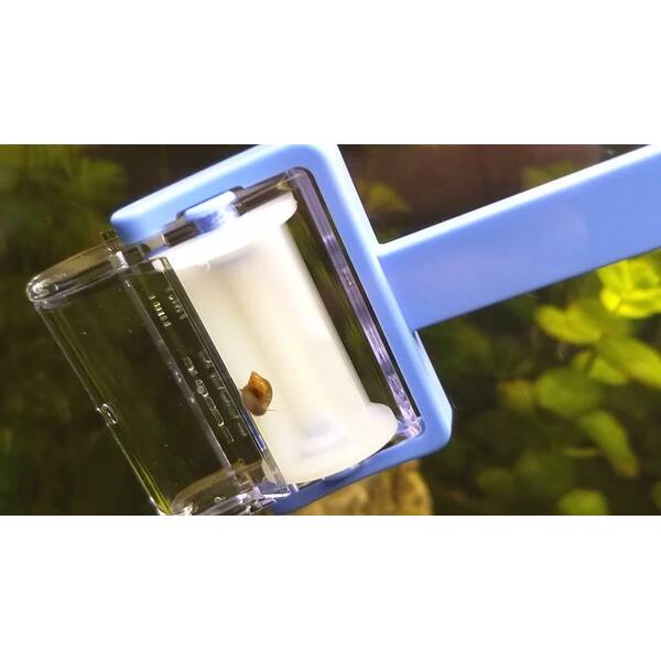 Dennerle Snail Catcher Dennerle Snail Catcher