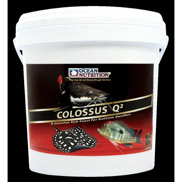 Ocean Nutrition Colossus Q2 Sinking 3kg Ocean Nutrition Colossus Q2 Sinking 3kg