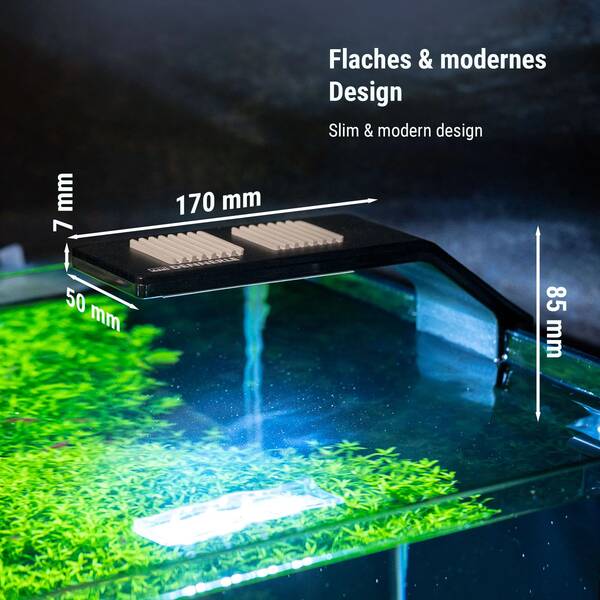 Dennerle Trocal Style Two 6W