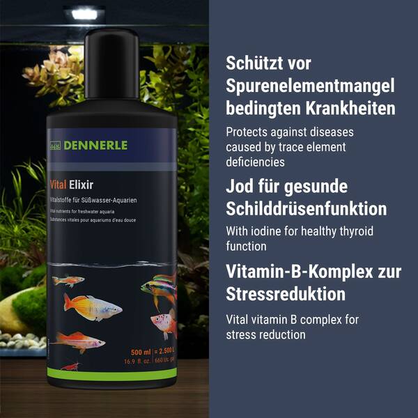 Dennerle Vital Elixier 500ml (1675) Dennerle Vital Elixier 500ml (1675)