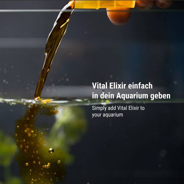 Dennerle Vital Elixier 250 ml