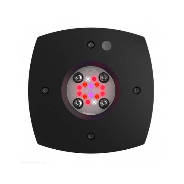 AI prime Fuge Black