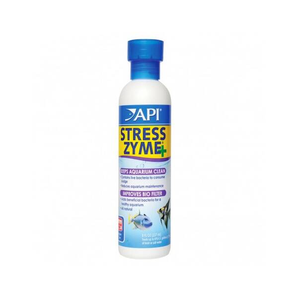 Api Stress Zyme 237ml