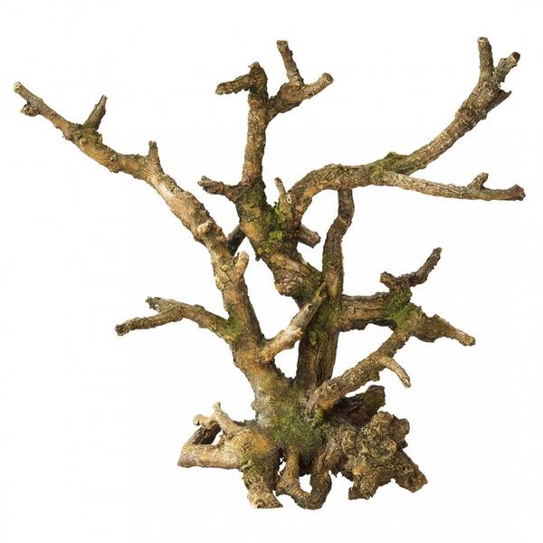 Aqua Della Bonsai Brown (234424094)