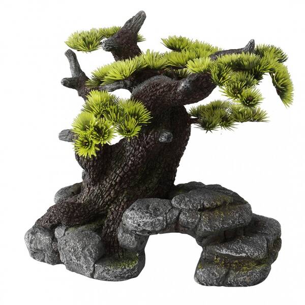 Aqua Della Bonsai ML - 26x17,5x24CM