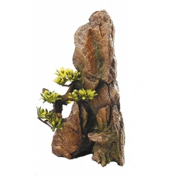 Aqua Della Bonsai Slate Aqua Della Bonsai Slate