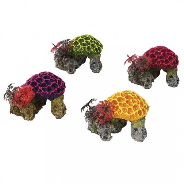 Aqua Della Coral Set Mini - 9,5x8,5x7CM Aqua Della Coral Set Mini - 9,5x8,5x7CM