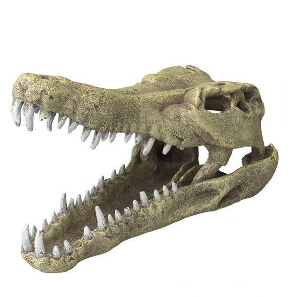 Aqua Della Crocodile Head L - 32,5x17x20,5CM Aqua Della Crocodile Head L - 32,5x17x20,5CM