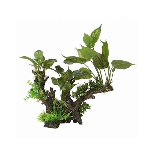 Aqua Della Flora Scape 3 XL (2234432075)